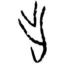 「乍」後2.10.5 合17340 賓組
