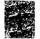 「王」□口爻見□公簋 西周早期 NB1210 (考古07.3)