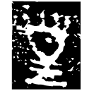 「皇」伯家父簋蓋 西周晚期 集成4156