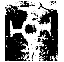 「琮」□□□父丁爵 商代晚期或西周早期 集成8472
