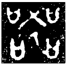 「器」黃君孟 春秋早期 集成9963