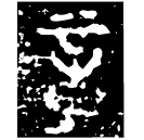 「章」史頌鼎 西周晚期 集成2787