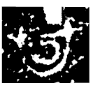 「甘」甘城右戈 戰國晚期 集成10998