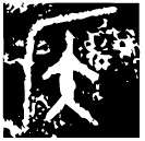 「侯」亞侯父乙盉 西周早期 集成9439