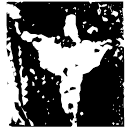 「纔」尊 西周早期 集成6014