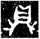 「鼎」伯作旅鼎 西周中期 集成1915