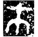 「巿」此簋 西周晚期 集成4303
