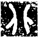 「北」北子觶 西周早期 集成6476
