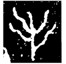 「毛」此簋 西周晚期 集成4304