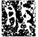 「朕」史□口□□乂□口簋 西周晚期 集成3996