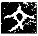 「文」是要簋 西周中期 集成3911