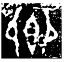 「鄉」盠方彝 西周中期 集成9899