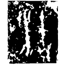 「油」蔡侯墓殘鐘四十七片 春秋晚期 集成224