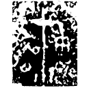 「戈」戈母觶 西周早期 集成6151