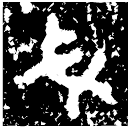 「戈」□皿戈 西周早期 集成11012