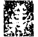 「义」義盉蓋 西周中期 集成9453