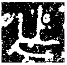 「乍」疐作父丁卣 西周早期 集成5209
