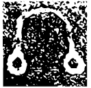 「終」冬刃鼎 商代晚期 集成1450