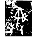 「彝」□□□父丁簋 商代晚期 集成3604