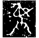 「彝」□□□又□伯簋 西周早期 集成3525