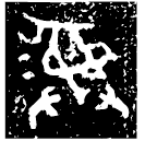 「彝」作寶□□尊彝卣 西周早期 集成5134
