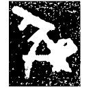 「彝」伯作旅彝鼎 西周早期 集成1916