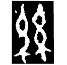 「絲」曶鼎 西周中期 集成2838