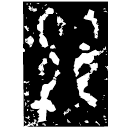 「絲」口□目鼎 西周中期 NA1445 (上博七)