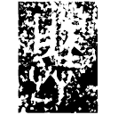 「塍」敶侯作王仲媯□爿□巿止□簠 春秋中期 集成4603