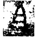 「且」子且壬卣 西周早期 集成4898