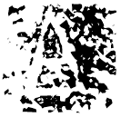 「且」且辛尊 西周早期 集成5511