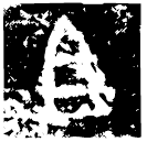「且」蟎鼎 西周中期 集成2765