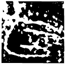 「官」公□□朱右鼎 戰國晚期 集成2361