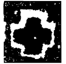 「亞」亞秋爵 商代晚期或西周早期 集成7814