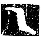 「乙」父乙冉鼎 商代晚期 集成1545