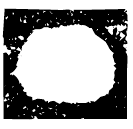 「丁」父丁爵 商代晚期或西周早期 集成7914