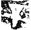 「辛」尤辛爵 商代晚期 集成8055