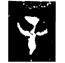 「辛」父辛夨鼎 西周早期 集成1890