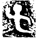 「子」子□□止□止口□觚 商代晚期 集成6904